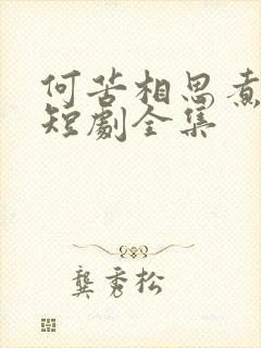 何苦相思煮余年短剧全集