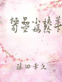 极品小姨叶凡和司空嫣然下载