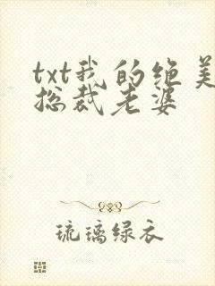 txt我的绝美总裁老婆