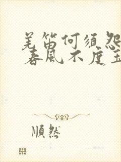 羌笛何须怨杨柳 春风不度玉门关什么意思