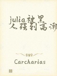 julia被黑人强到高潮不断