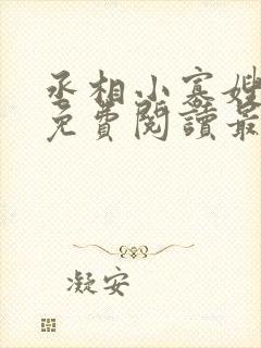 丞相小寡嫂小说免费阅读最新章节