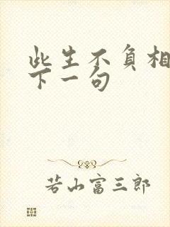 此生不负相见的下一句