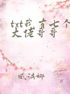 txt我有七个大佬哥哥