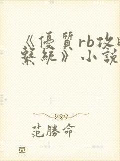 《优质rb攻略系统》小说