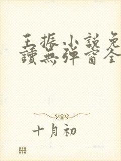 王振小说免费阅读无弹窗全文