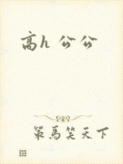 高h 公公
