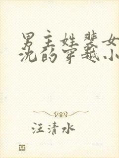 男主姓裴女主姓沈的穿越小说