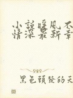 小说暖风不及你情深最新章节阅读季暖墨景深