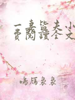 一妻皆夫小说免费阅读全文