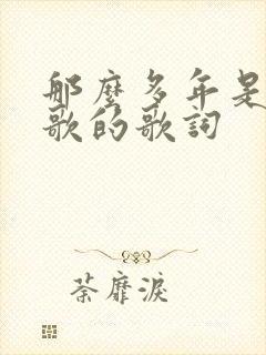 那么多年是哪首歌的歌词