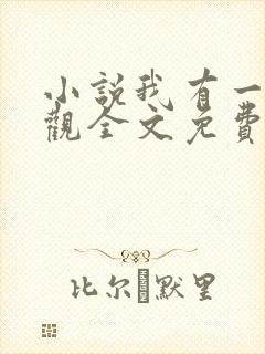 小说我有一剑叶观全文免费阅读