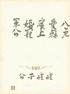 军婚蜜爱八零老公宠上瘾免费阅读