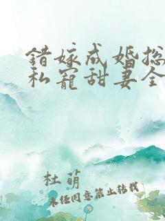 错嫁成婚总裁的私宠甜妻全集