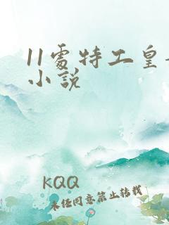 11处特工皇妃小说