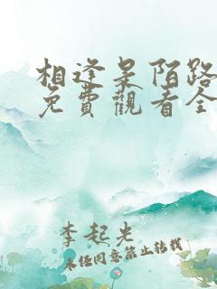 相逢是陌路短剧免费观看全集