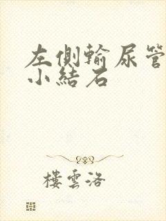 左侧输尿管下段小结石