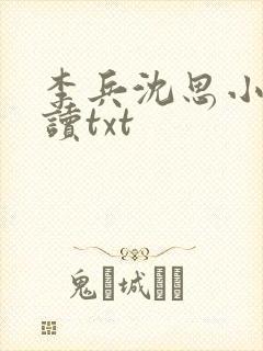 李兵沈思小说阅读txt