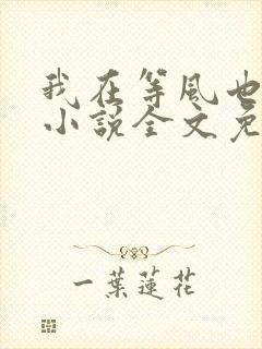 我在等风也等你小说全文免费阅读