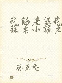 我的老婆我的妻苏柔小说免费阅读