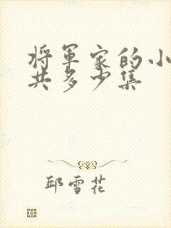 将军家的小娘子共多少集