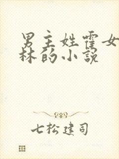 男主姓霍女主姓林的小说