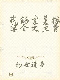 我的完美总裁老婆全文免费阅读