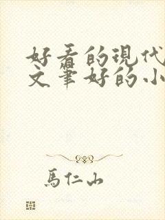 好看的现代言情文笔好的小说