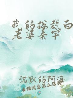 我的总裁白富美老婆秦宇