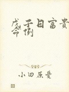 戊子日富贵八字命例