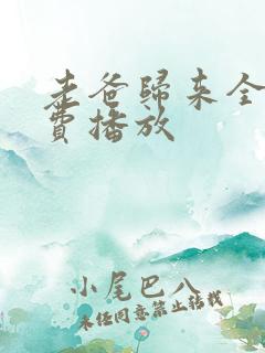 老爸归来全集免费播放