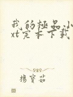 我的极品小姨txt完本下载