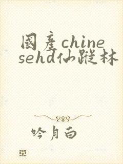 国产chinesehd仙踪林