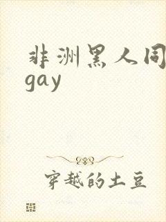 非洲黑人同性男gay