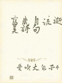 写岁月流逝的优美诗句