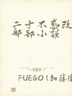 二十不惑改编自哪部小说