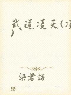 武道凌天(凌天)