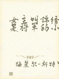 女主叫锦绣男主是将军的小说