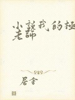 小说我的极品女老师