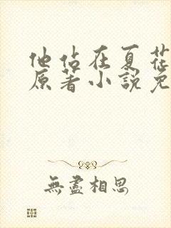 他站在夏花绚烂原著小说免费阅读