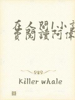 在人间1小说免费阅读阿伟芳姨