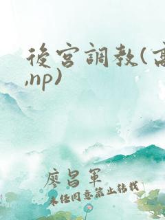 后宫调教(高h,np)