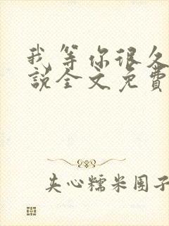 我等你很久了小说全文免费阅读