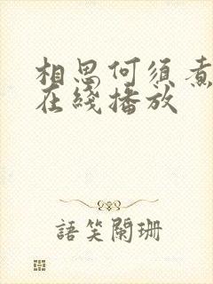 相思何须煮余年在线播放