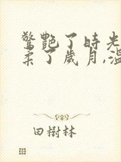 惊艳了时光,温柔了岁月,温暖了人心