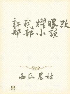 许我耀眼改编自哪部小说