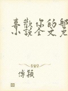 喜欢你的那十年小说全文免费阅读