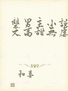 双男主小说甜宠文高甜无虐