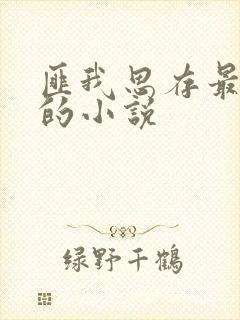 匪我思存最虐心的小说