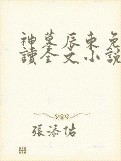 神墓辰东免费阅读全文小说